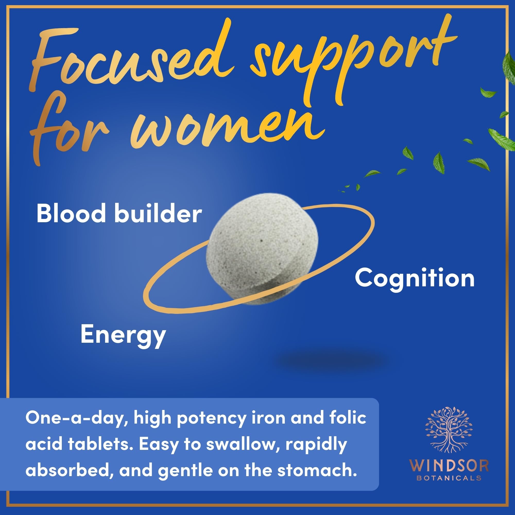 WINDSOR BOTANICALS Vegan Iron Supplement with a glass of water