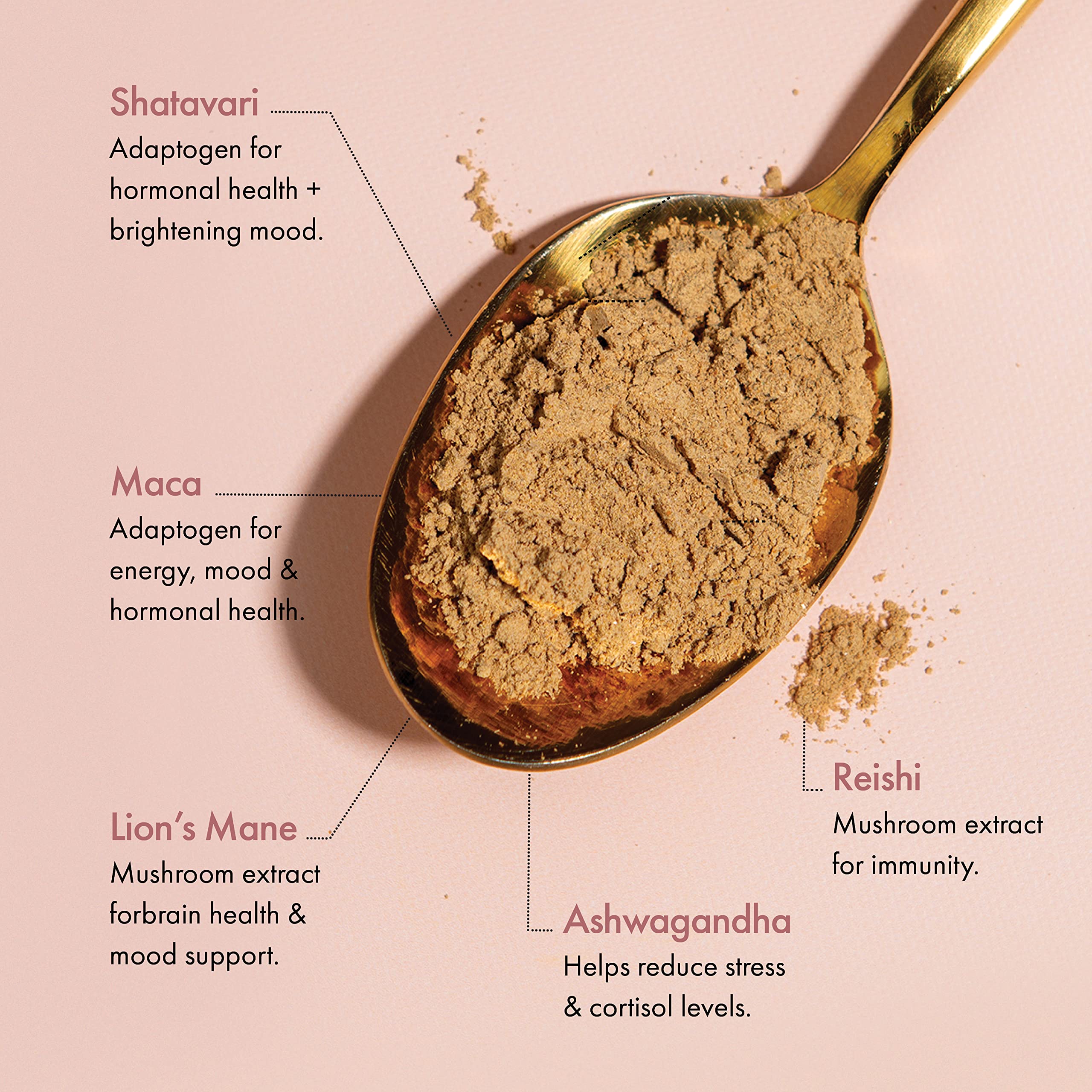 Winged Wellness Happy Start Mushroom Powder ingredients list