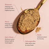 Winged Wellness Happy Start Mushroom Powder ingredients list