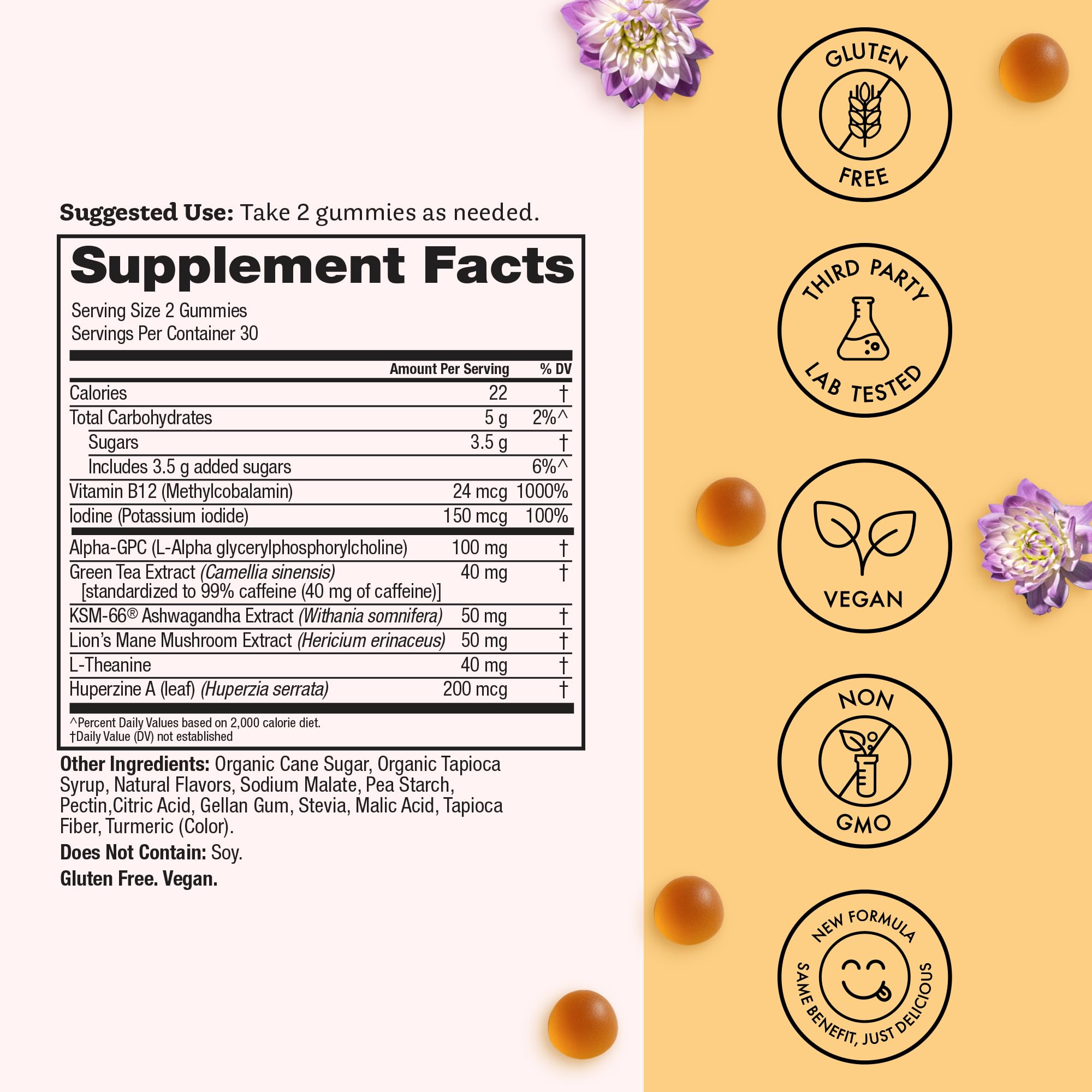 Winged Wellness Rise Up Gummies with a hand holding two gummies