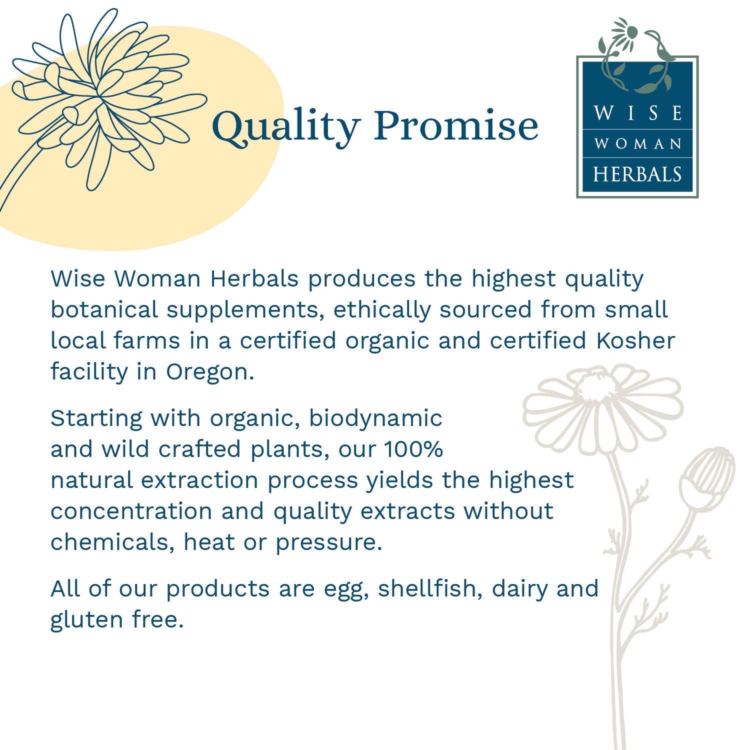 Wise Woman Herbals Passionflower Botanical Syrup 4 Fl Oz lifestyle scene
