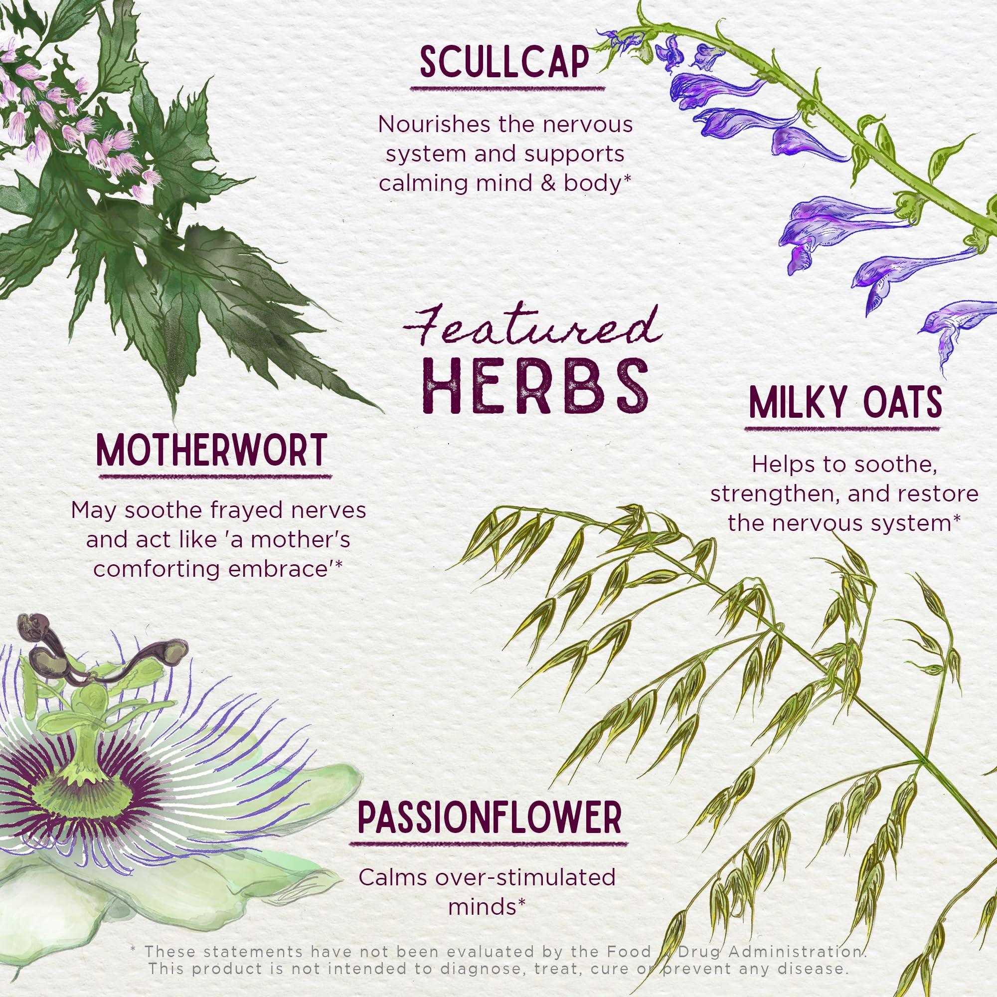 WishGarden Emotional Ally Herbal Tincture packaging
