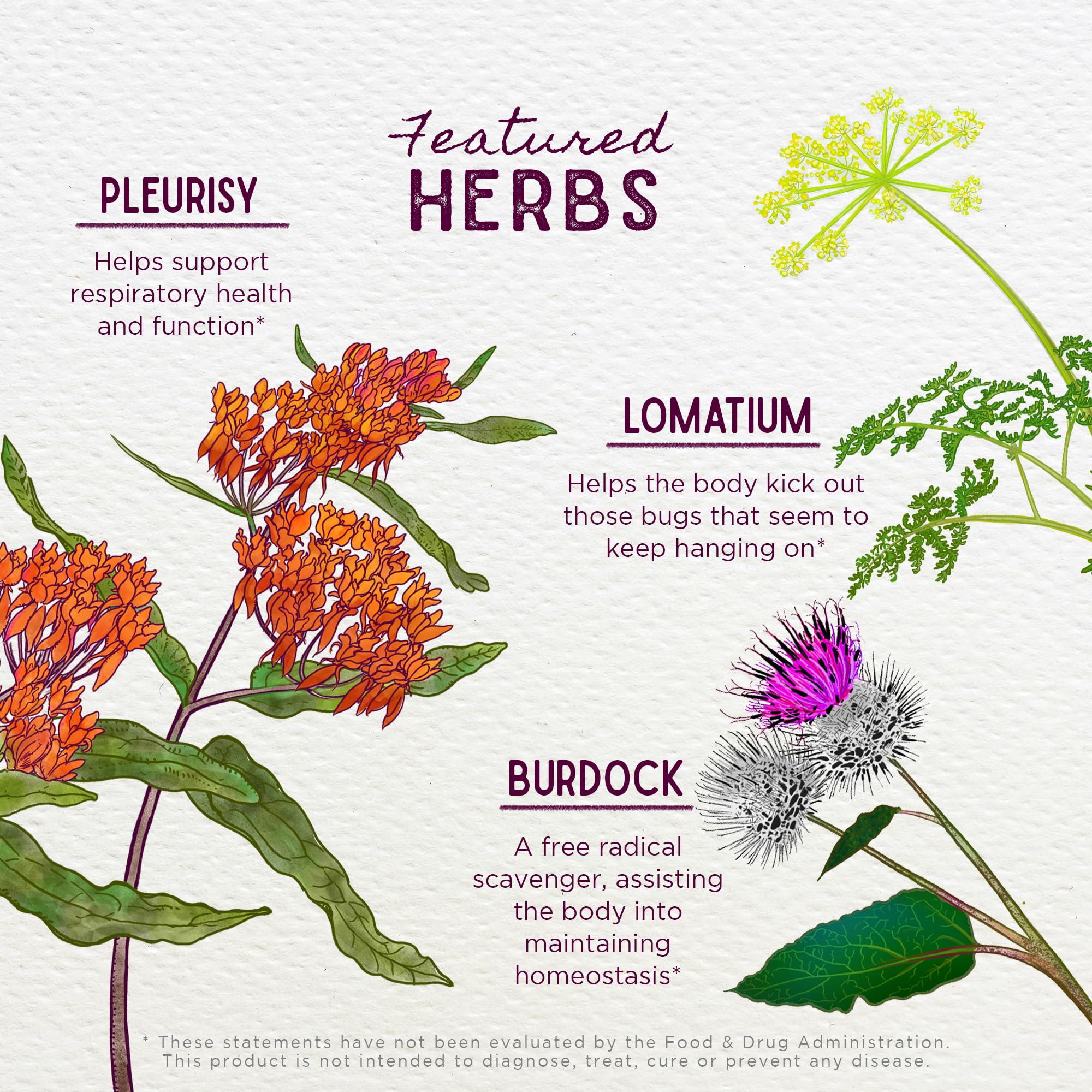 WishGarden Get Over It! herbal wellness supplement lifestyle scene with herbal tea