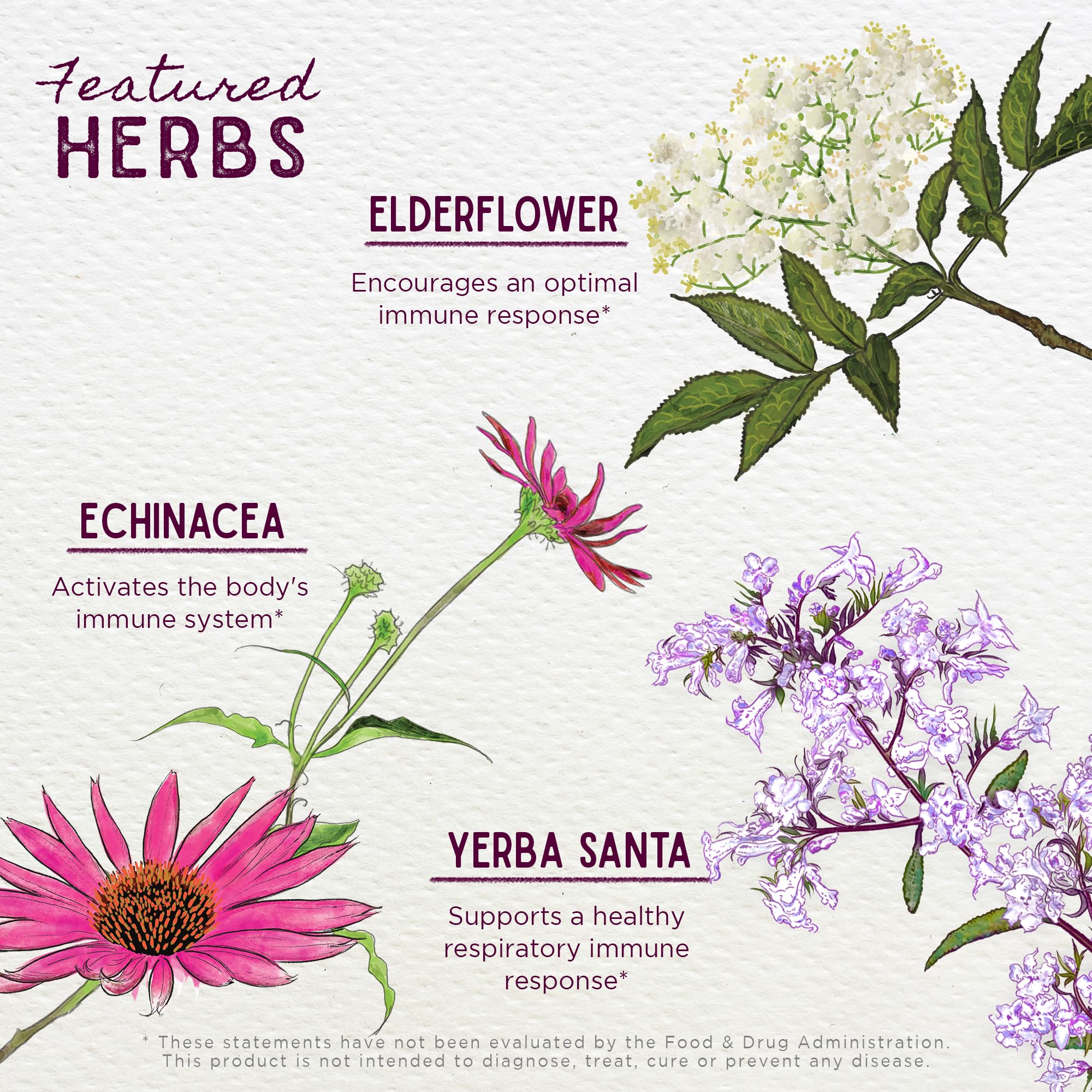 WishGarden Kick-Ass daily wellness Herbal Supplement ingredients close-up