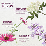 WishGarden Kick-Ass daily wellness Herbal Supplement ingredients close-up