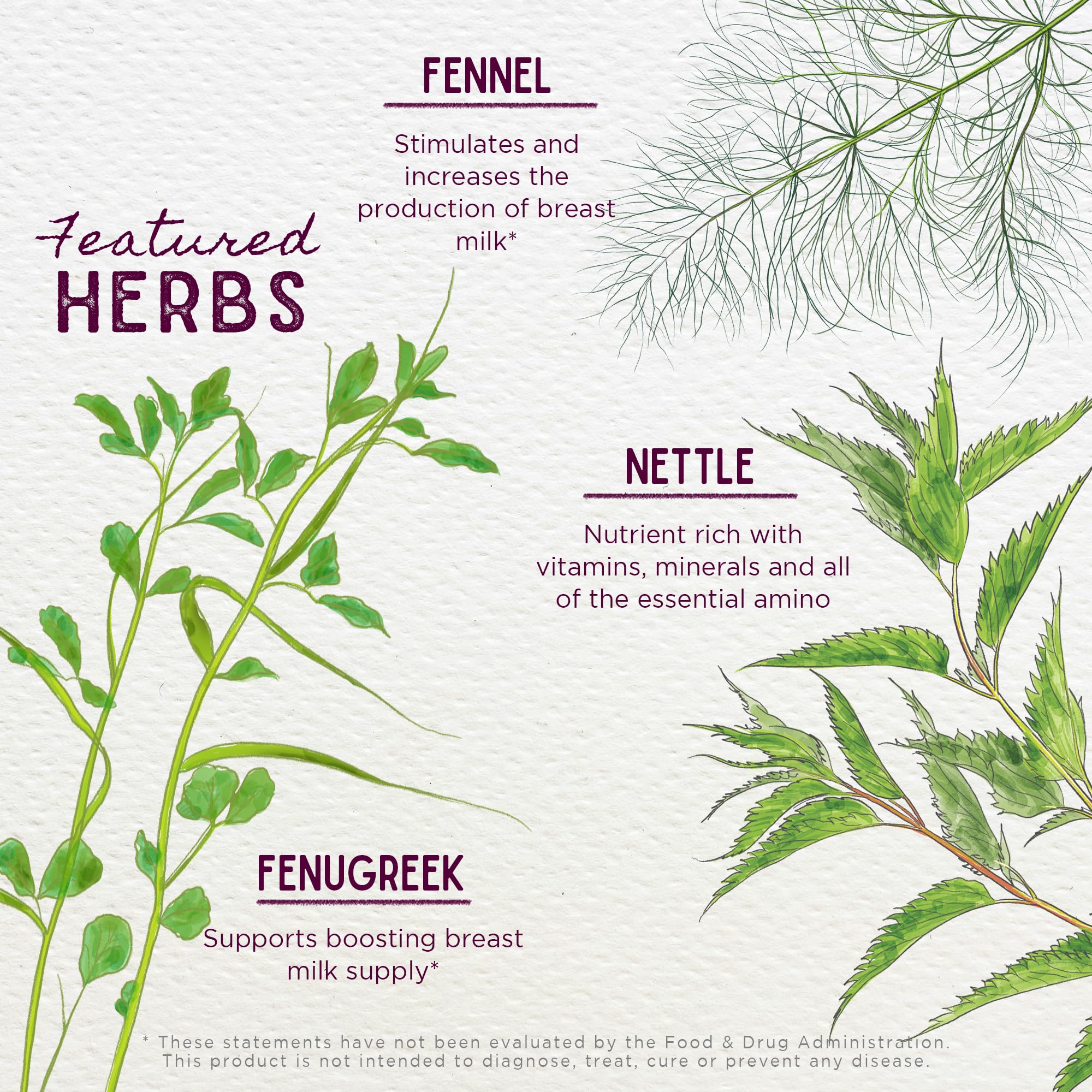 WishGarden Milk Thistle Herbal Supplement dropper close-up