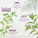 WishGarden Milk Thistle Herbal Supplement dropper close-up