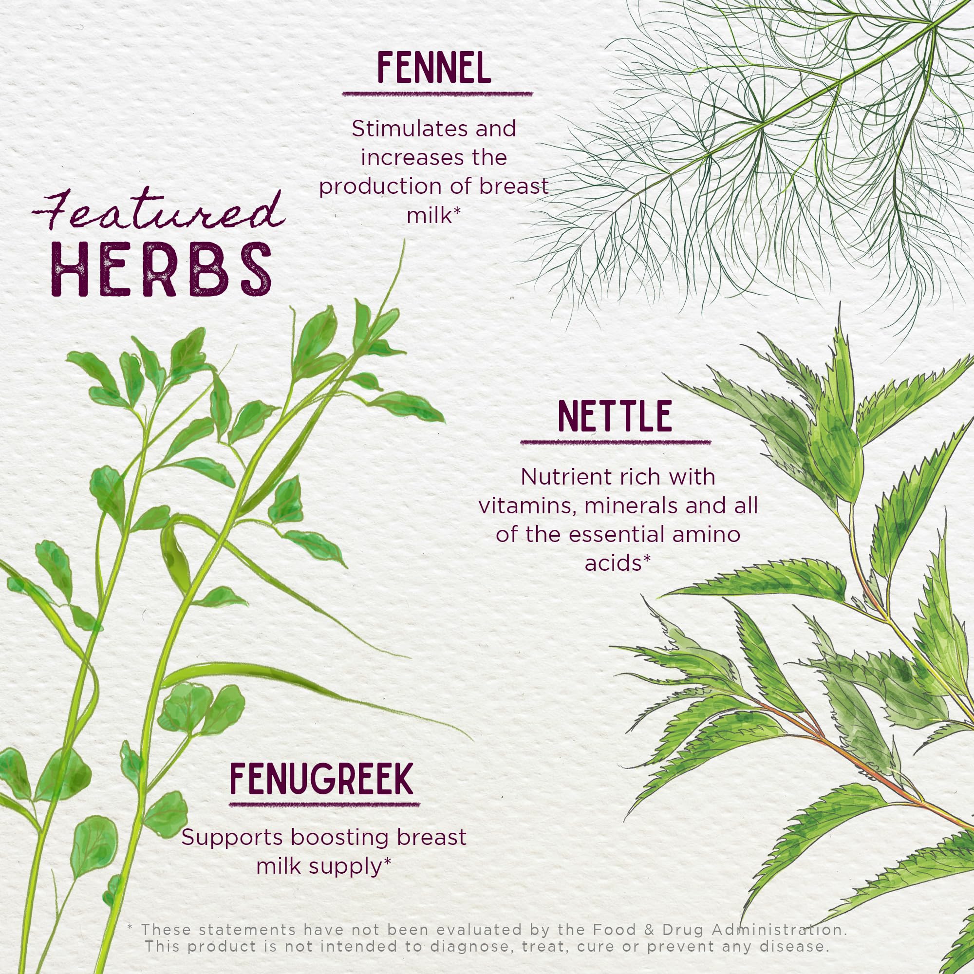 WishGarden Milk Thistle Herbal Supplement ingredients close-up