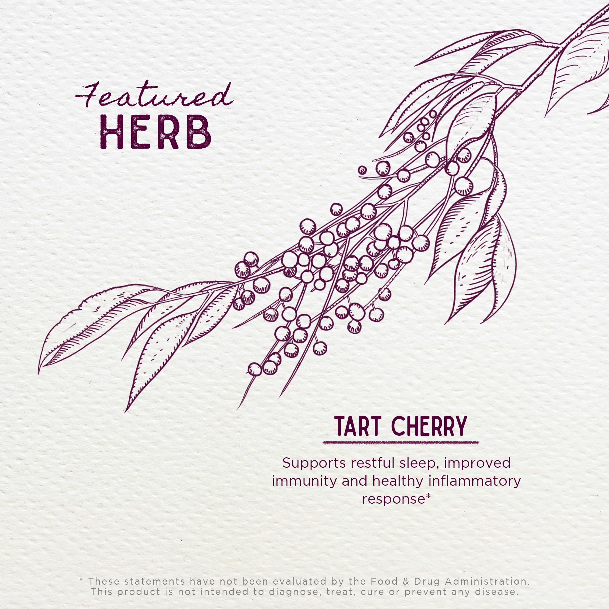 WishGarden Organic Tart Cherry Tincture 2oz side view