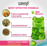 WIXAR NATURALS Sea Moss Gummies displayed on a wooden table