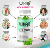 WIXAR NATURALS Sea Moss Gummies side view with nutritional information