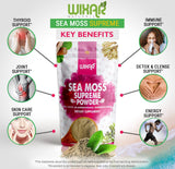 WIXAR NATURALS Sea Moss Powder mixed in a smoothie