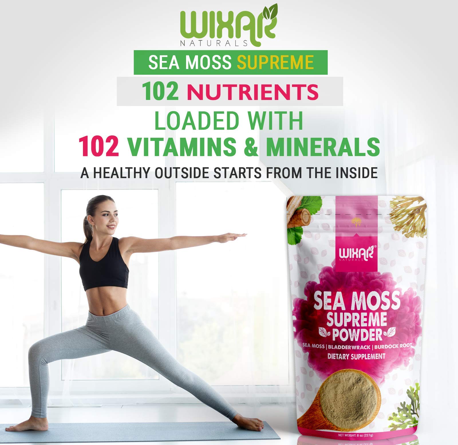 WIXAR NATURALS Sea Moss Powder on a kitchen counter