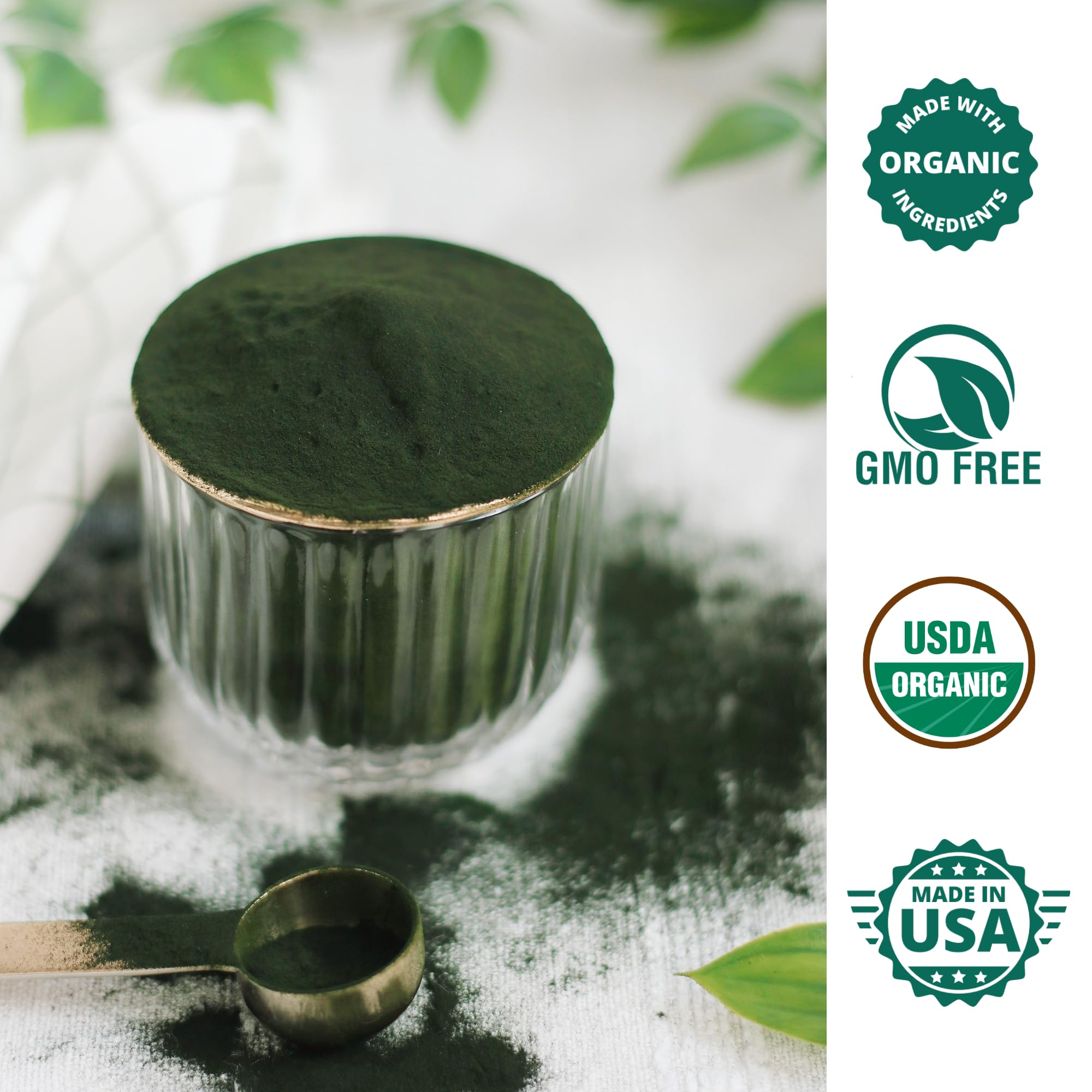 Wizelephant Organic Chlorella Spirulina Powder in a bowl
