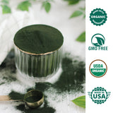 Wizelephant Organic Chlorella Spirulina Powder in a bowl