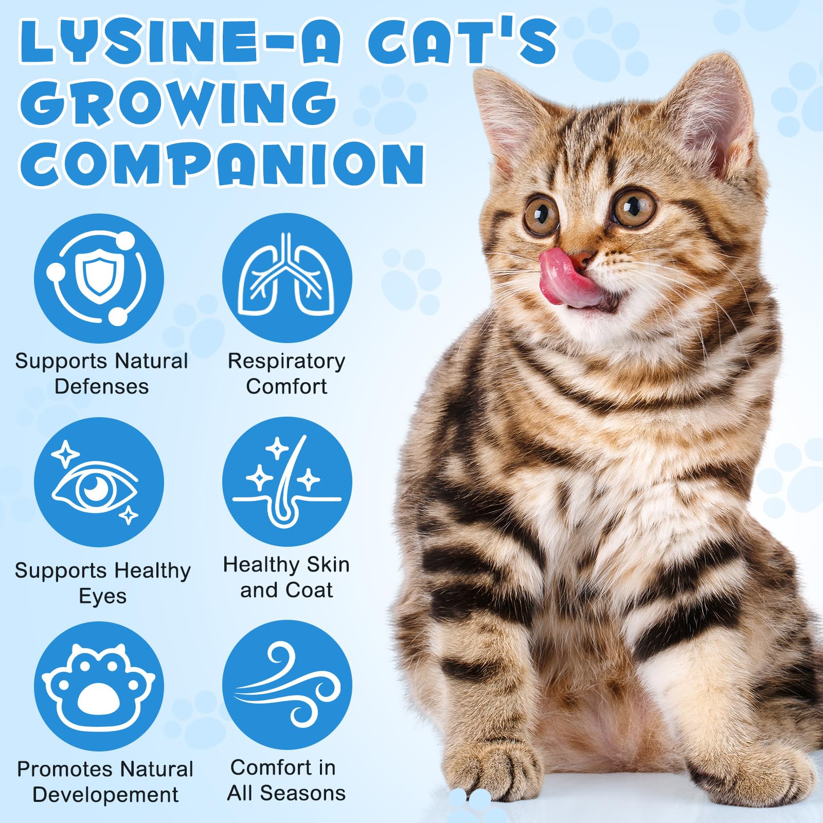 WLCTJIAYOU L-Lysine Drops ingredients list
