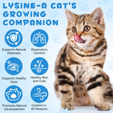 WLCTJIAYOU L-Lysine Drops ingredients list