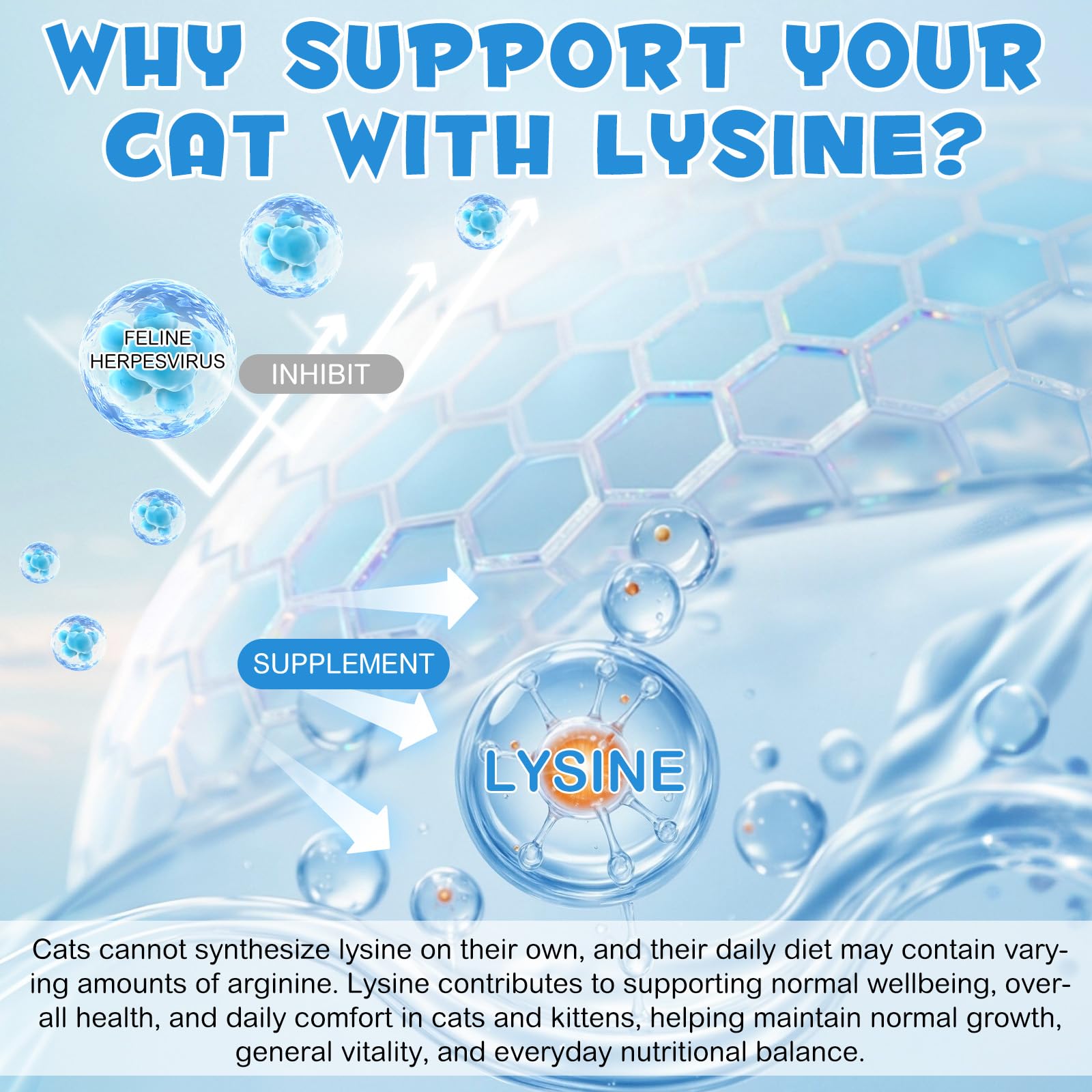 WLCTJIAYOU L-Lysine Drops with cat food