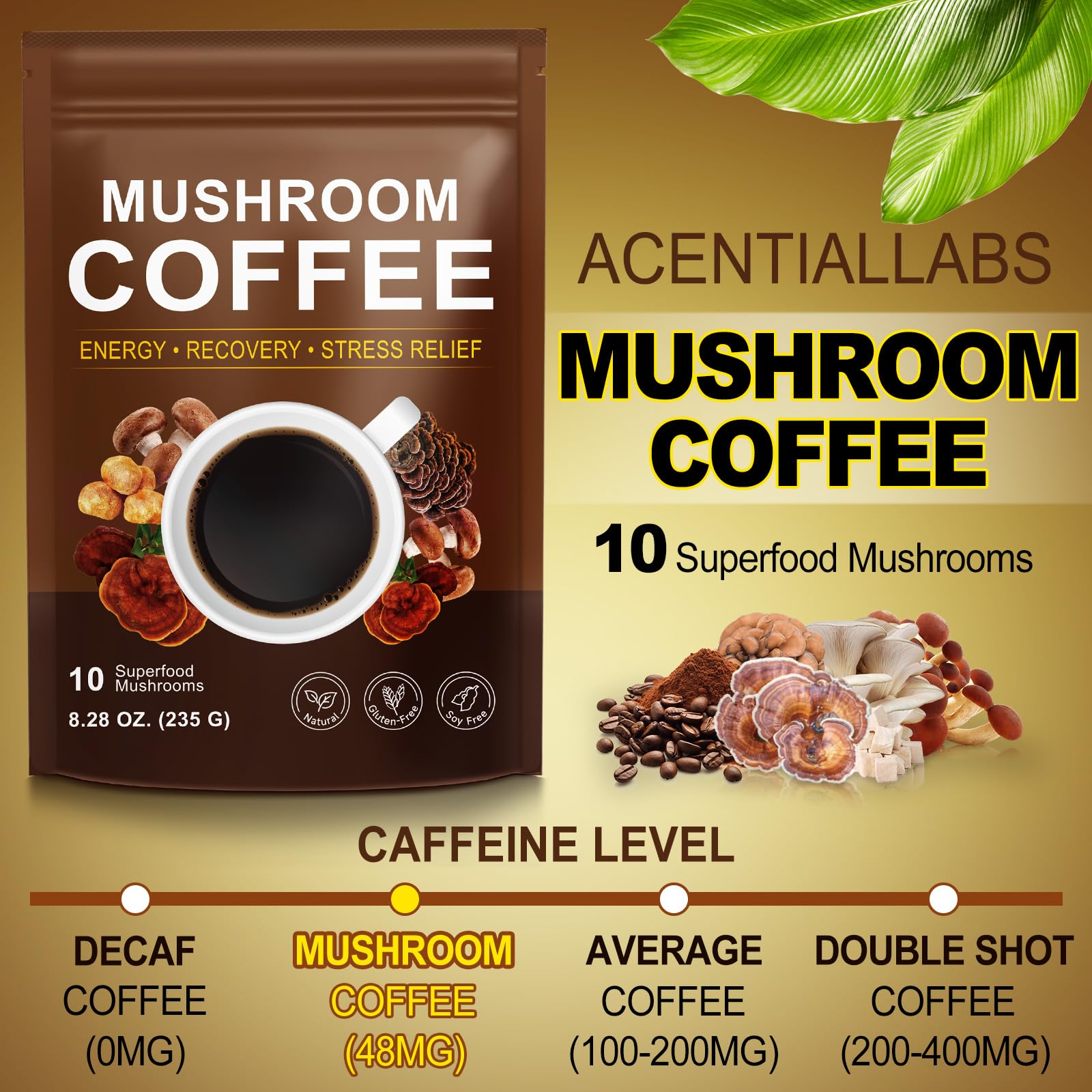 WLCTJIAYOU Mushroom Coffee packaging side view
