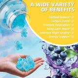 Wllbdloig Cortisol Gummies showing serving size