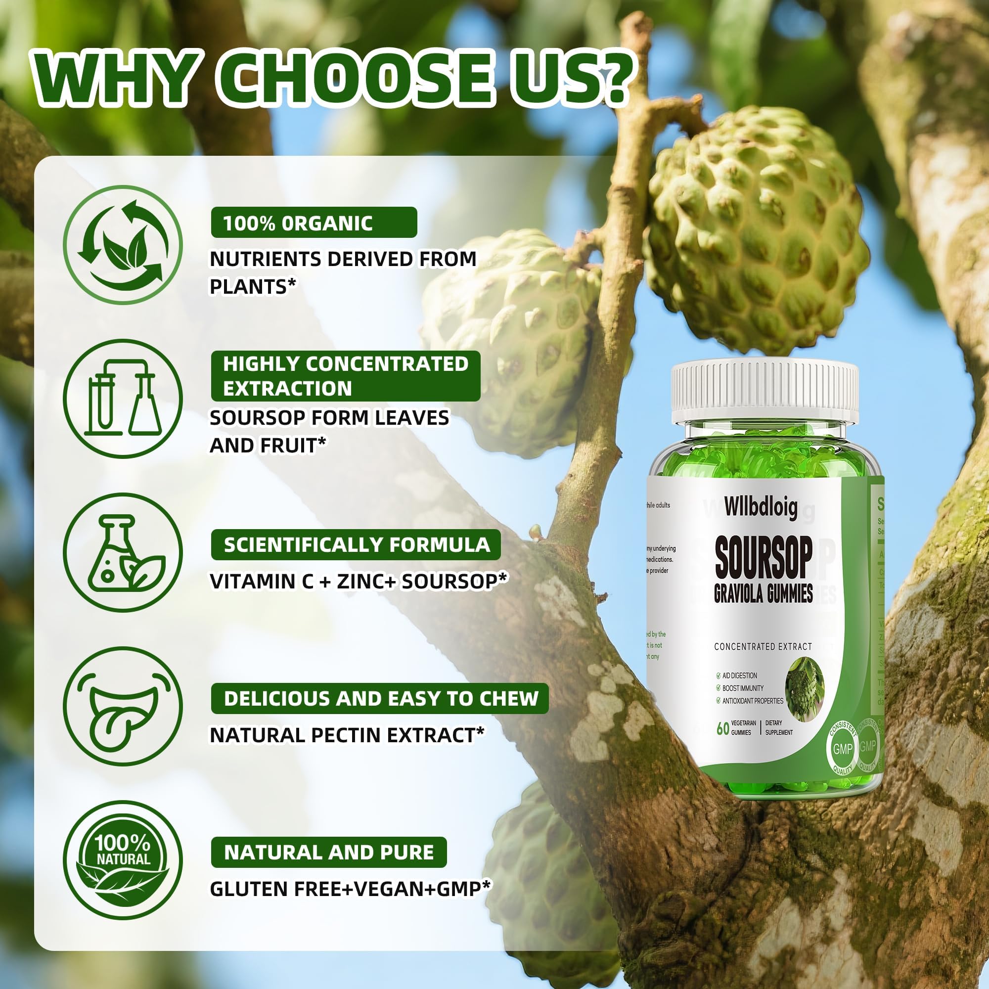 Wllbdloig Soursop Graviola Gummies packaging with nutritional information