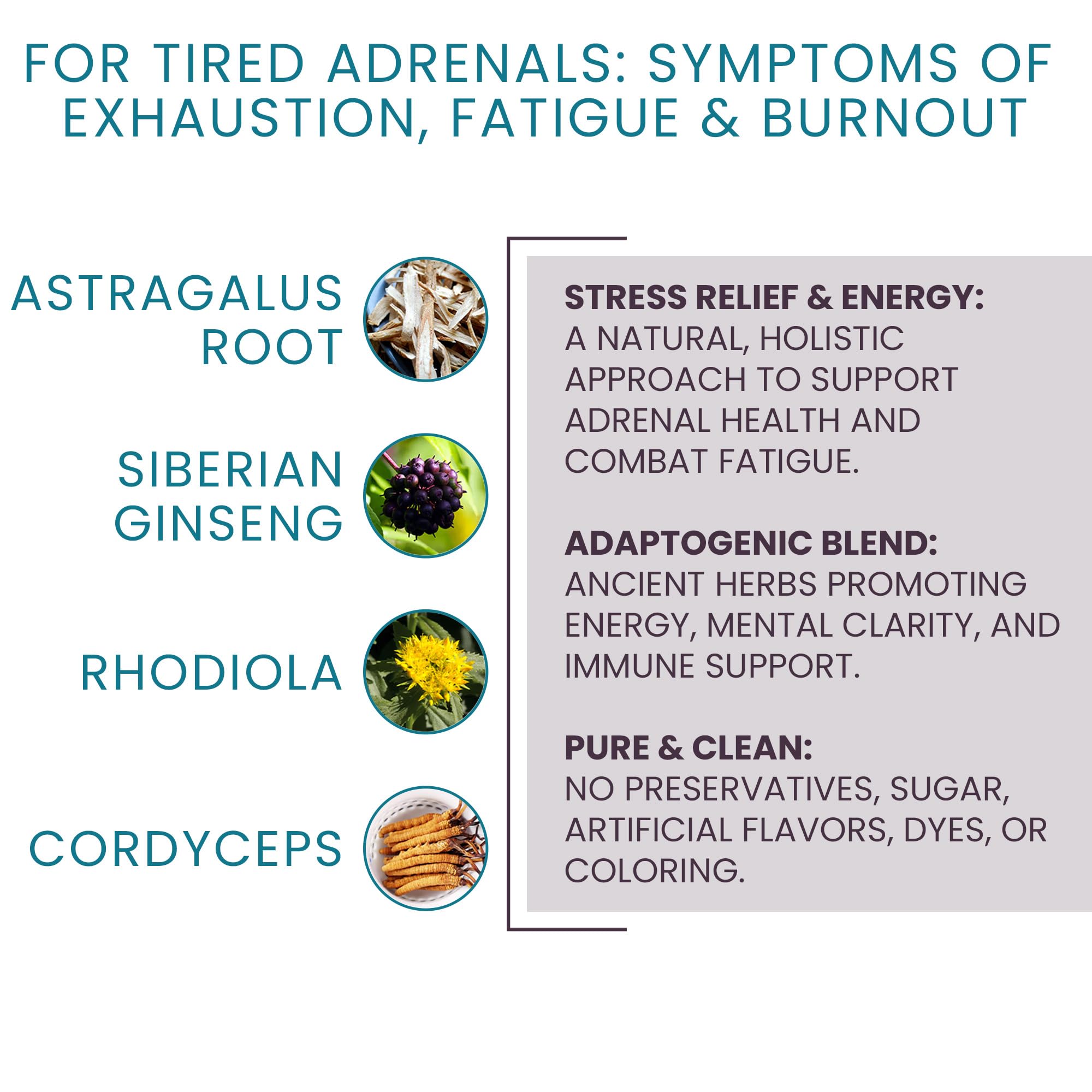Women's Health Network Adaptisol Adrenal Extracts back view with ingredient list