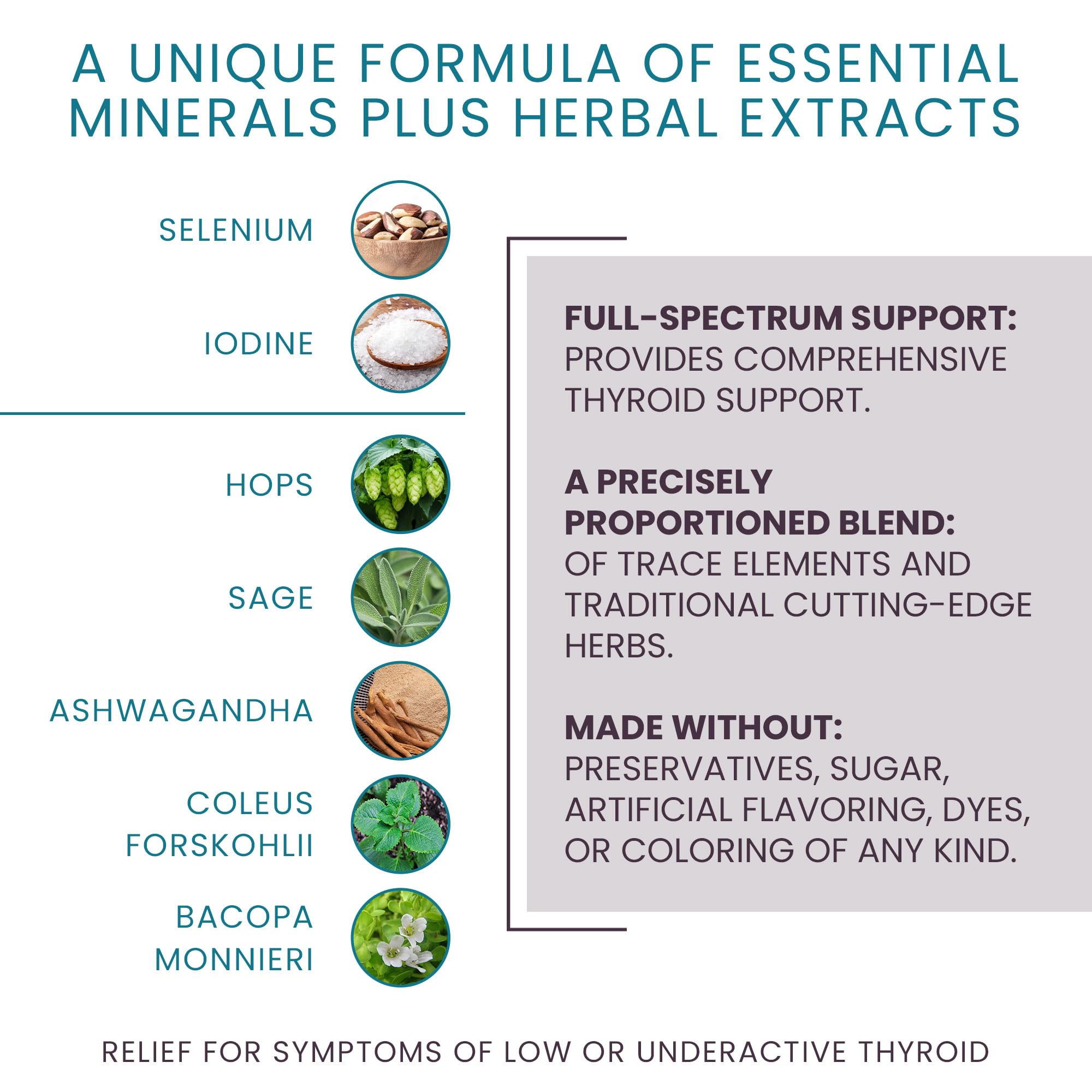 Women's Health Network T-Balance Plus capsules on a wooden surface