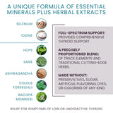 Women's Health Network T-Balance Plus capsules on a wooden surface