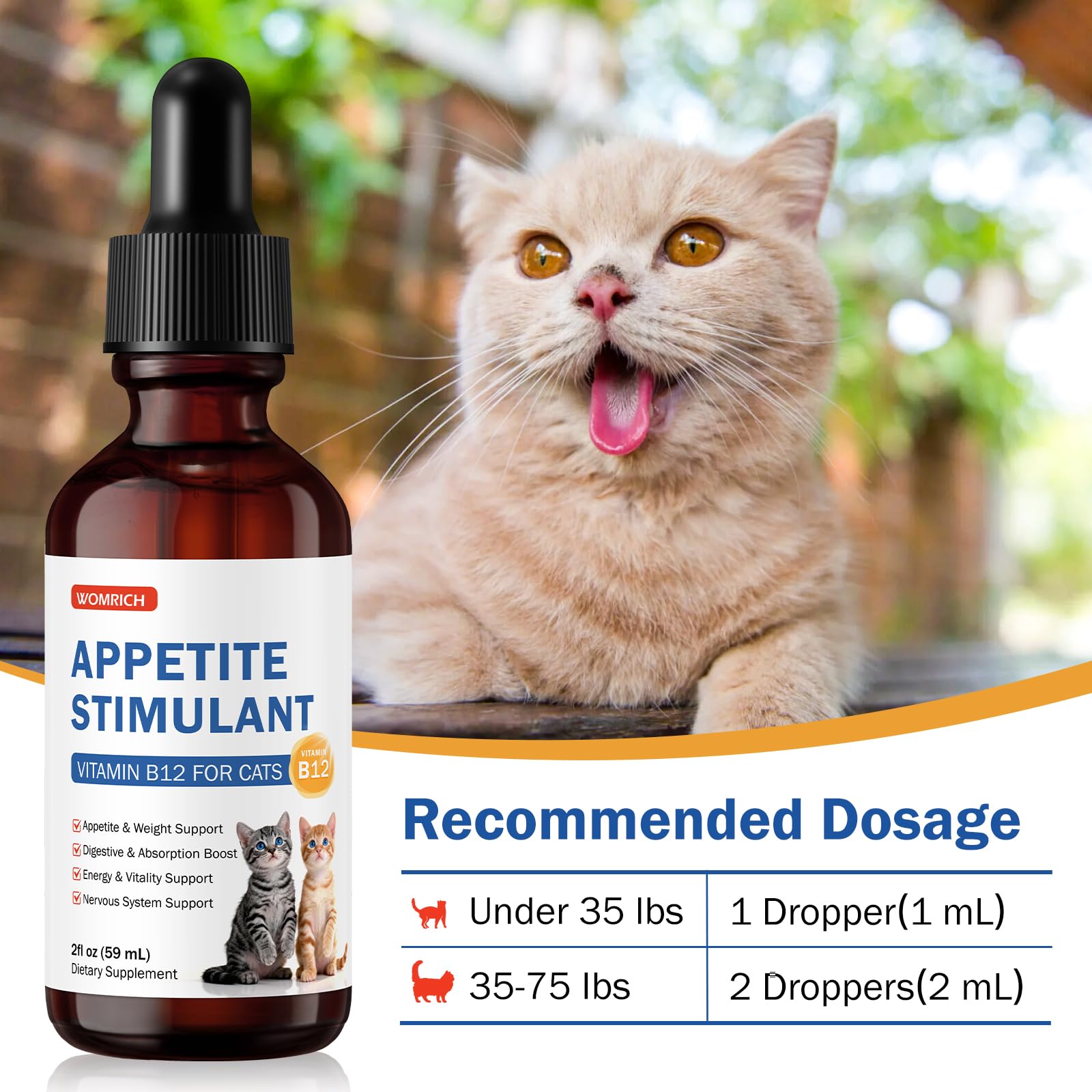 WOMRICH Liquid Vitamin B12 Supplement for Cats 150g with food
