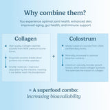 WONDERCOW Bioactive Collagen + Bovine Colostrum Powder ingredient close-up