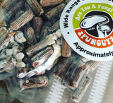Wooden dowels for growing oyster mushrooms from 2funguys
