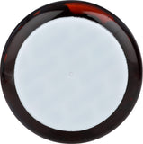 World Organic Chlorophyll 100 mg capsule ingredients list