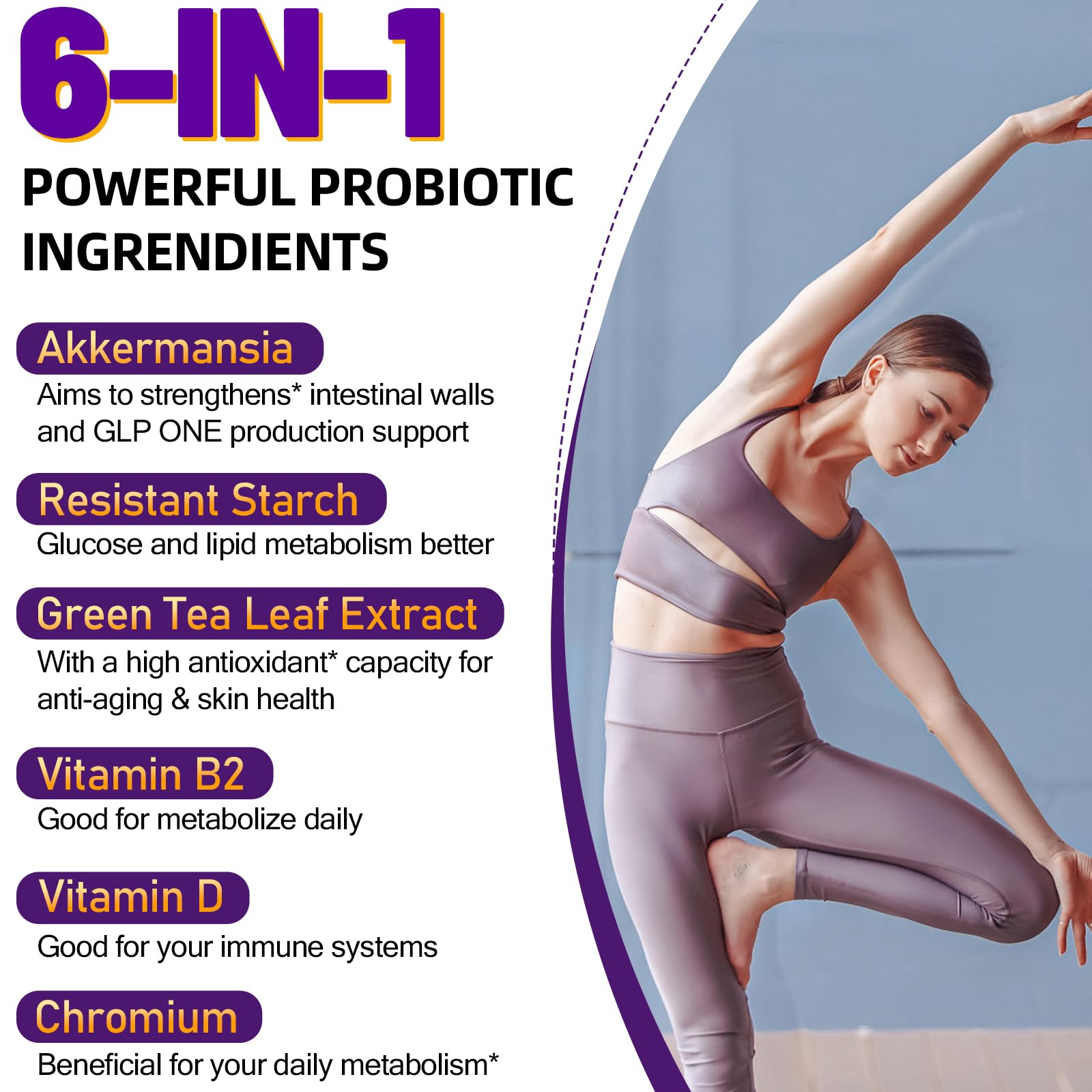 Wsidche Akkermansia Probiotic Supplement back view with ingredient list