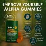 WSJAWH Shilajit Gummies side view showing individual wrappers