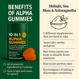 WSJAWH Shilajit Gummies with fresh ingredients