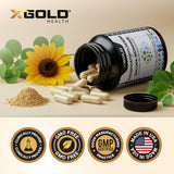 X Gold Health Nootropic Blend lifestyle shot with a notebook