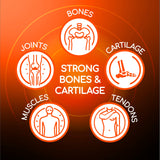 X Ray Dol Triple Action Joint Health Supplement side view