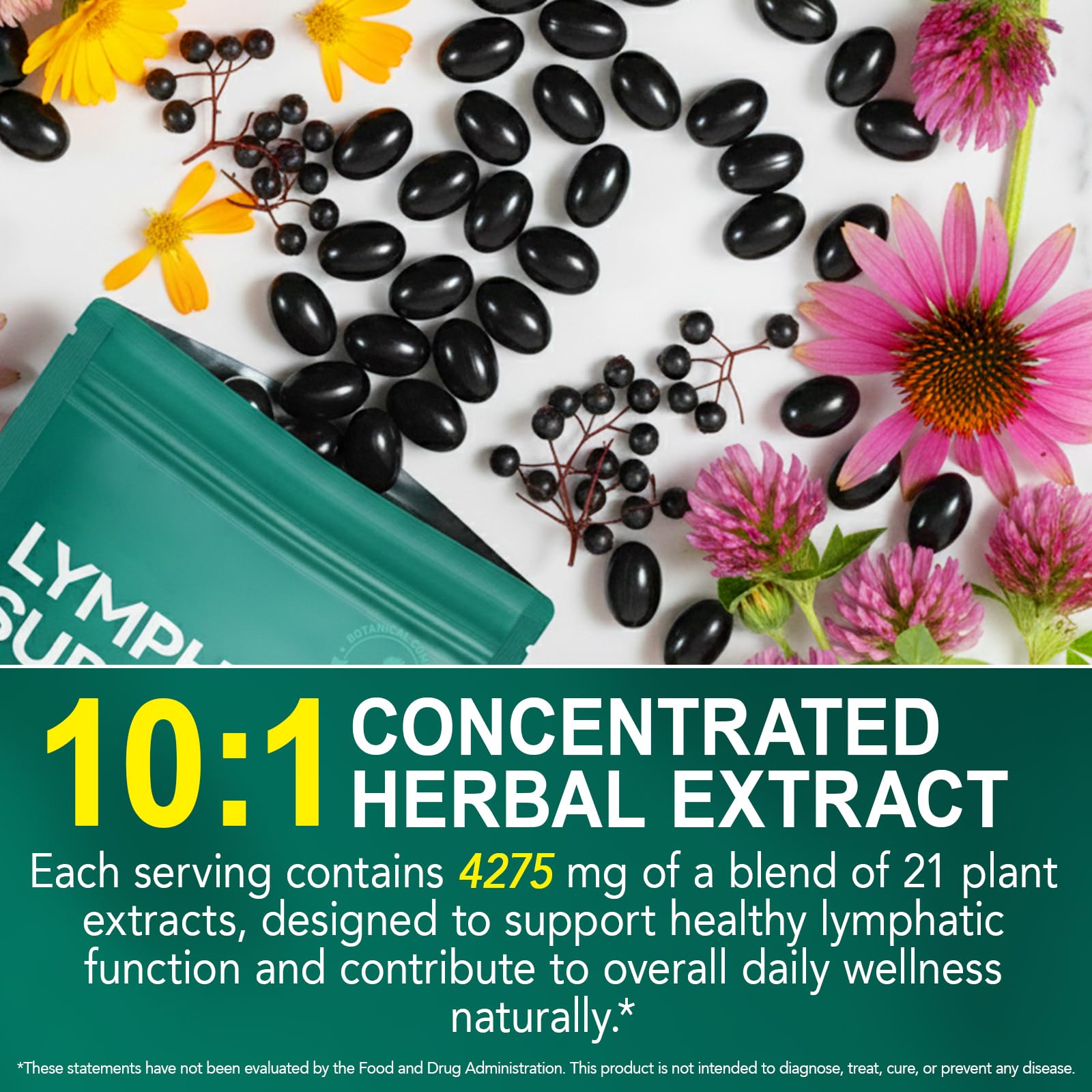 XINSZLIN Echinacea 21-in-1 Softgels lifestyle scene