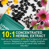 XINSZLIN Echinacea 21-in-1 Softgels lifestyle scene