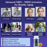 Xontravix Blended Vitamin & Mineral Supplement ingredients list