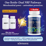 Xontravix Blended Vitamin & Mineral Supplement on a table