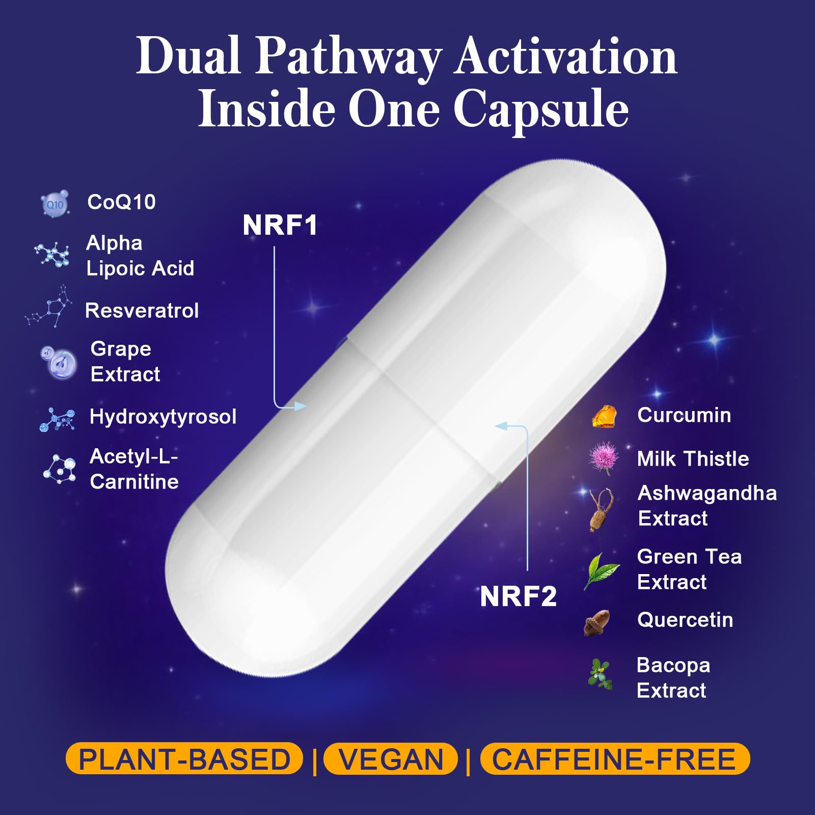 Xontravix Blended Vitamin & Mineral Supplement with a glass of water