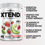 Xtend BCAA Powder 374g displayed on a gym bench
