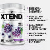 Xtend BCAA Powder 374g packaging on a gym bench