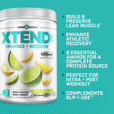 Xtend BCAAs Original 336g in a shaker bottle