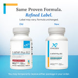 XYMOGEN 5-MTHF Plus B12 quick-dissolve tablet on a table