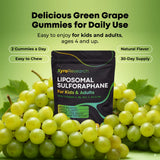 Xyro Research Liposomal Sulforaphane Gummies nutritional information