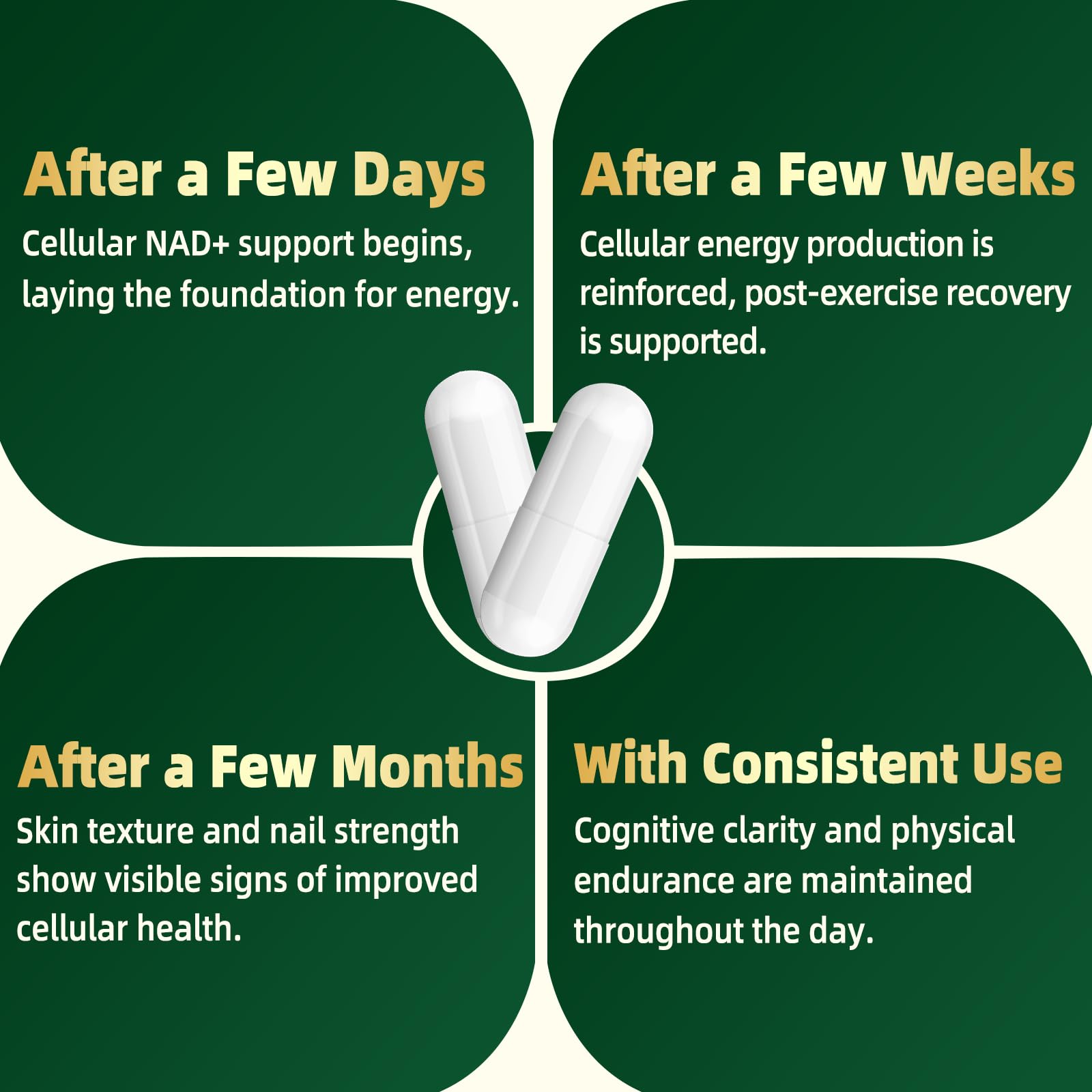YAAHARO Resveratrol Supplement 1200mg β-NMNH lifestyle scene