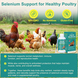 Yakucho Liquid Selenium for Poultry with ducks