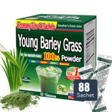 Yamamoto Kanpoh Young Barley Grass Powder 408g front view